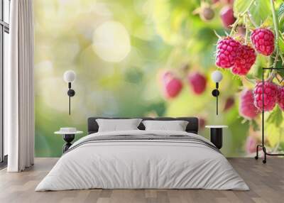 Pink raspberry fruit on a branch with green summer garden backdrop and available copy space image Wall mural