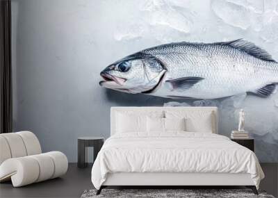 Raw sea bass fish Preparing fresh sea bass. with copy space image. Place for adding text or design Wall mural