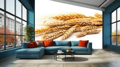 Rich harvest concept featuring a whole barley ear, wheat sprouts, and rye spike plant isolated on a white background for cereal bread flour with copy space image. Wall mural