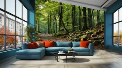 Stunning Italian forest scenery with ample copy space image. Wall mural