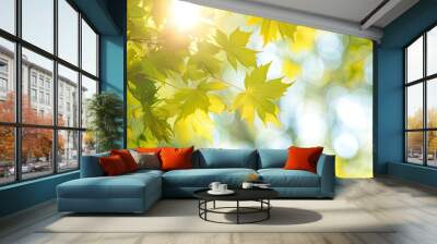 Summer branches of a maple tree adorned with fresh green leaves Summer backdrop featuring copy space Wall mural