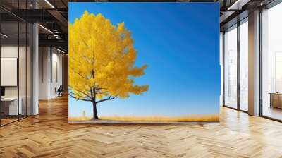 Sunlit yellow tree contrasting against a vibrant blue sky with empty copy space image. Wall mural