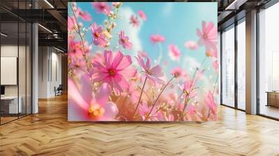 The vibrant pink cosmos flowers blossom in the bright sunlight against a backdrop of blue sky. with copy space image. Place for adding text or design Wall mural