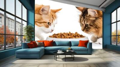 two distinct cats sharing a bowl of dry cat food. with copy space image. Place for adding text or design Wall mural