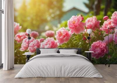 Vibrant Pink Peony Flowers Blooming in a Beautiful Garden Setting Wall mural