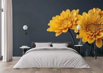 Yellow chrysanthemum set against a gray background. with copy space image. Place for adding text or design Wall mural