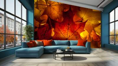 Maple leaves with backlight Wall mural