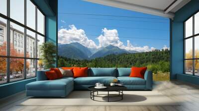 Serene Horizons: Where Green Meets Blue Wall mural