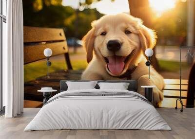 cute happy puppy dog on a bench in the park Wall mural