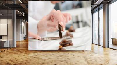 close up of professional pastry cook hands preparing chocolate dessert in restaurant kitchen Wall mural