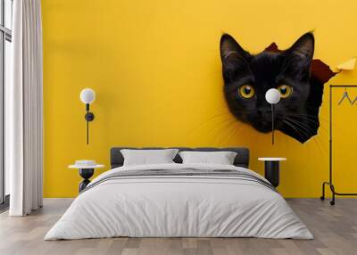 A black cat looks through a torn hole in yellow paper. Peekaboo.Black Friday. Yellow banner with place for text. Wall mural