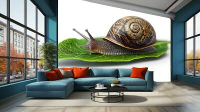 Snail on white background with green leaf Wall mural