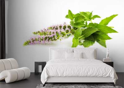 Fresh peppermint herb and flowers isolated on white background Wall mural