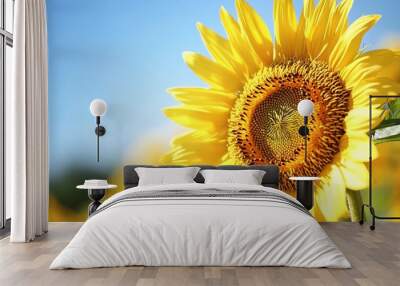 A vibrant sunflower in full bloom, showcasing its bright yellow petals against a clear blue sky, symbolizing summer and vitality. Wall mural