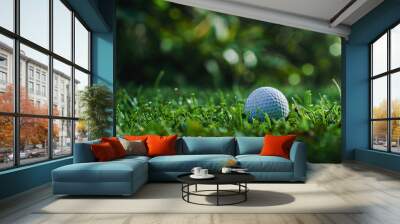 The golf ball is placed on the grass next to the tee. Wall mural