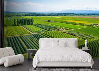 Aerial view of vibrant green farmland with neatly organized rows of crops under a clear blue sky. Wall mural