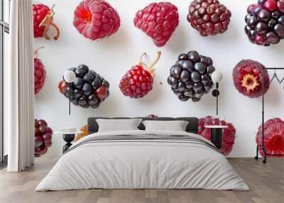 mulberry fruit are in neat rows and top view Wall mural