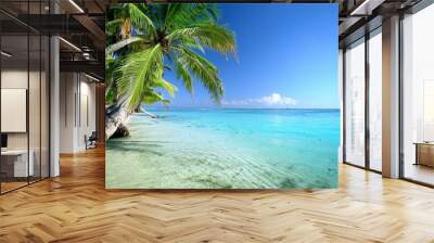 A beautiful beach with a palm tree in the foreground Wall mural