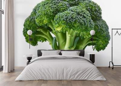 Green Broccoli Florets Wall mural