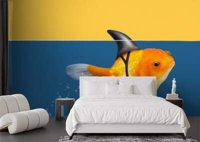 Goldfish with shark fin swimming in blue water and yellow sky background, Gold fish,Decorative aquarium fish. Gold fish with shark flip Wall mural