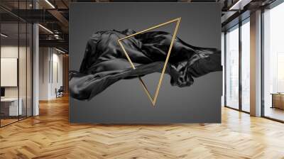 3d render, abstract dramatic fashion wallpaper. Modern minimal composition with black silk drapery, textile fabric cloth and golden triangular shape, isolated on dark background Wall mural