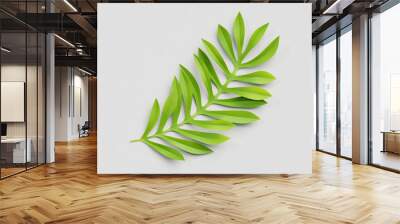 3d render, paper cut decor, green tropical leaf, isolated botanical clip art element Wall mural