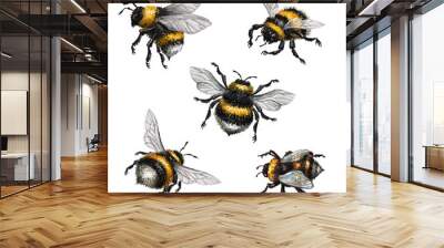 watercolor illustration, assorted bumblebees, wild insect clip art, isolated on white background Wall mural