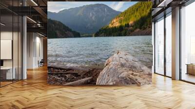 North cascades water Wall mural