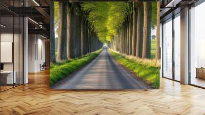 Picturesque tree lined path through lush green countryside landscape Wall mural