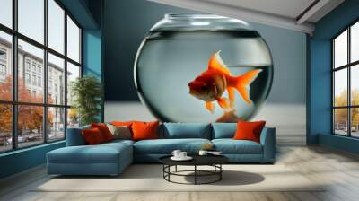 background white isolated Goldfish fishbowl fish pet liquid glasses water orange animal gold bowl aquarium tank Wall mural