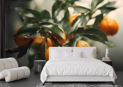 leaf vitamin green mandarin agriculture old sweet natural nature fruit mandarinorange white transparent food organic juice garden tangerines diet png mandarine citrous watercolor orange juicy drawn re Wall mural