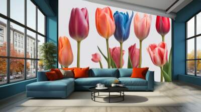 red template pink graphic png blue floral stalk leaves set background flower artwork cutout design transparent tulip tulips orangey file collection mockup Wall mural