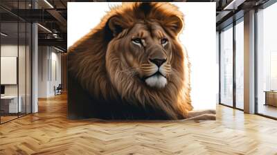 the lion portrait roar africa african aggressive animal background big black carnivore cat circus danger dangerous felino fierce fur growl head isolated king leo majestic male mammal mane mouth
 Wall mural