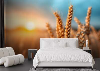 Vegan Food Wheat Field Wall mural