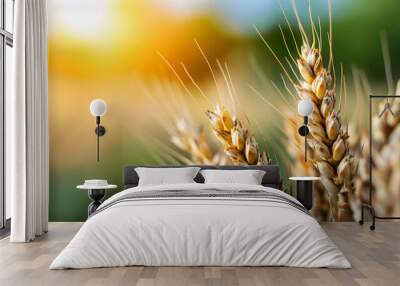 Vegan Food Wheat Field Wall mural