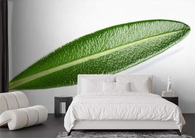 Green Rosemary leaf isolated on white Wall mural