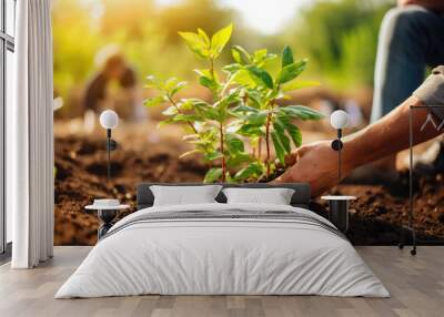 person planting a plant Wall mural