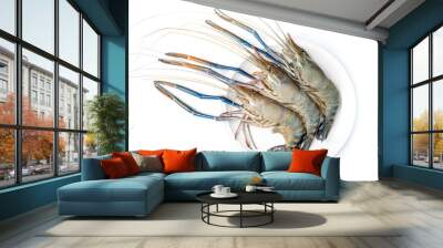 Close up Fresh shrimp and long arm isolated on white background. The giant river prawn on white background. Grilled giant river prawns are popular Thai cuisine. Wall mural