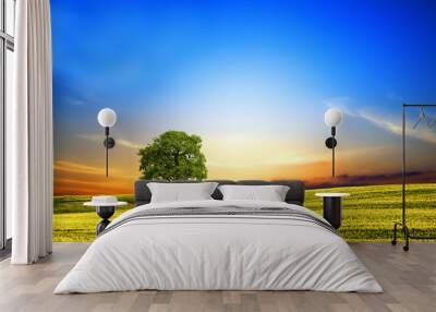 spring landscape at sunset Wall mural