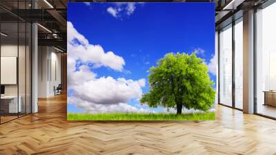 spring landscape with green tree Wall mural