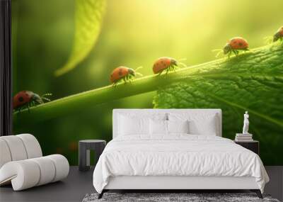 A close-up of a line of ladybugs crawling on a leaf in a lush green environment, bathed in sunlight. Perfect for nature and insect themes. Wall mural