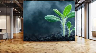 Fresh green plant sprouts emerging from dark soil, symbolizing growth and new beginnings in a serene nature setting. Wall mural