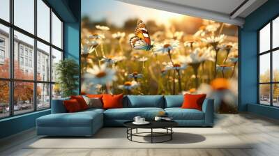 Fields of daisies and butterflies fluttering with orange and blue sunlight Wall mural