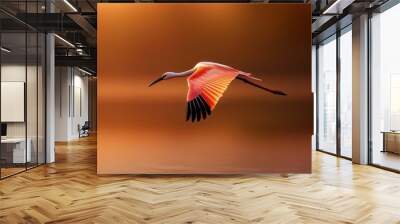  A bird soaring above tranquil water, reflecting an fiery orange sunset behind Wall mural