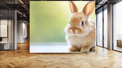  A brown-and-white rabbit sits atop a pristine white floor against a backdrop of a blurred green and yellow background Wall mural