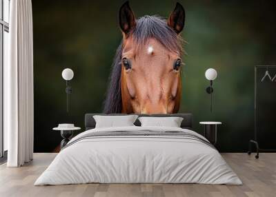  A brown horse with a black mane and a white forehead mark stands before a dark backdrop Wall mural