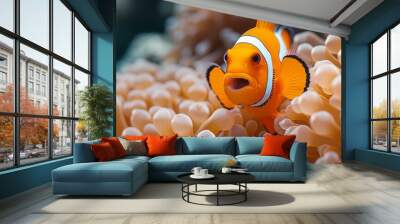   A close-up of a clownfish in an anemone Wall mural