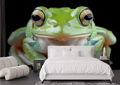  A close-up of a green frog's face on a black background with big, round, brown eyes Wall mural