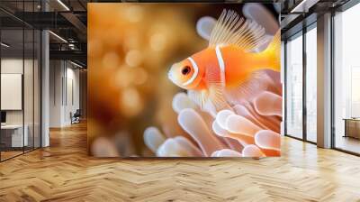  A close-up of an orange-white fish among anemones in a sea anemone Wall mural