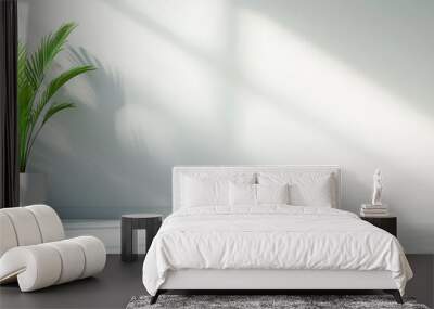  A green plant in a white planter against a white floor and in a white room, illuminated by sunlight filtering through the window Wall mural